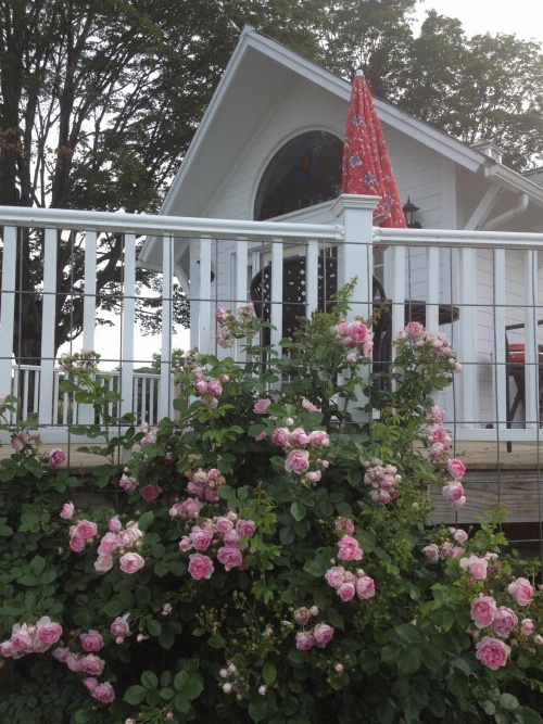 Enfield Manor Bed&Breakfast and Vacation Rental image 1
