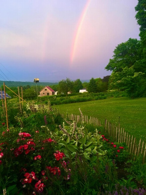 Enfield Manor Bed&Breakfast and Vacation Rental image 20